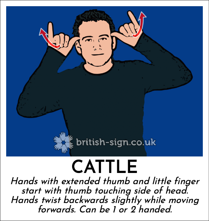 Cattle: Hands with extended thumb and little finger start with thumb touching side of head.  Hands twist backwards slightly while moving forwards. Can be 1 or 2 handed.